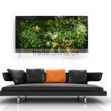 High Quality Artificial Wall Plant Artificial Succulent Plant Wall for Home Decor thumbnail-4