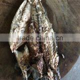 New Landing Frozen Fish Pacific Mackerel China Suppliers thumbnail-5