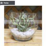 Artificial Preserved Succulents Artificial Potted Mini Succulent Plants Hot Sale Artificial Potted Plants thumbnail-4
