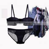 Lace Ladies Underwear New Design Hot for South American Good Quality Sexy Bra thumbnail-1