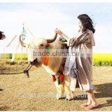 Super Quality Scarf Luxury Brand Cashmere Scarf Women Poncho Duplex Winter Cape Shawls and Scarves Pashmina Shawls thumbnail-5