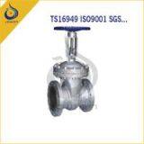 Iron Casting Pump Parts Control Valve thumbnail-3