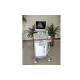 Trolly Full-digital Ultrasound Scanner