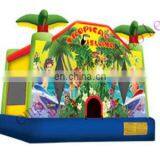 Commercial Bouncers,cheap Bouncer,art Panel Inflatable Bouncers D057