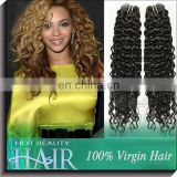 100% Pure Brazilian Hair Weft Bohemian Afro Curly Hairstyles