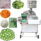 Multifunctional stainless steel vegetable cutting machine