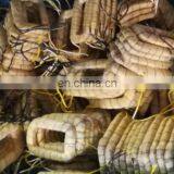 DC Motor for Muck Truck 72V 2KW thumbnail-4