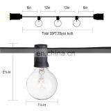 Wholesale Fairy Garden Home Wedding Party LED G40 Globe String Lights With Clear Bulbs thumbnail-6