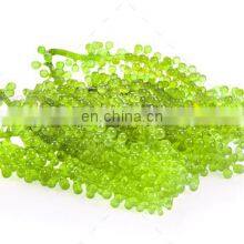 Sea Grapes High Quality Origin Vietnam/Dehydrated Sea Grapes thumbnail-3