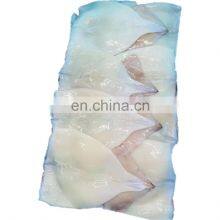 High Quality Todarodes Squid Fillet Block Packing