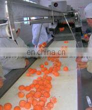 Orange Juicer Processing Line Apple Juice Sterilizing Machine thumbnail-2