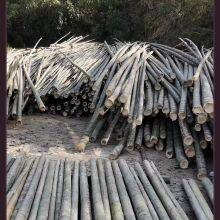 Buddha Incense Signature Manufacturers Round Bamboo Silk Strip Each Size Incense Core Buddha Incense Stick Handicraft Bamboo Stickbamboo Stick thumbnail-3