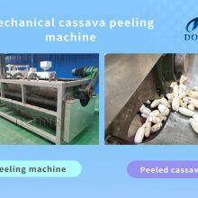 96% Peeling Rate Cassava Peeler Machine for Garri/Cassava Flour Production Cassava/Potato/Yam Peeling & Washing Machine thumbnail-2