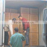 H9002-3 Funeral Supplies Plastic Casket Coffin Handle2 H9002 thumbnail-3