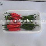 Fresh Chilli thumbnail-1