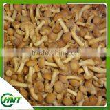 Yummy Fresh Frozen Nameko Mushroom For Sale thumbnail-6