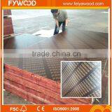 Export Maldives Film Faced Plywood thumbnail-2