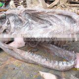 High Simulation Fiberglass Artificial Dinosaur Skull Sale