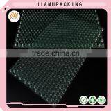 Transparent Vegetable Seed Starter Tray thumbnail-3