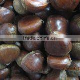 Supply Sweet &fresh Chestnut Size 40-60 thumbnail-4