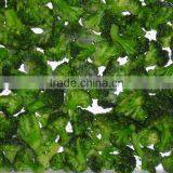 Frozen Vegetables Frozen Broccoli Spears Fresh Broccoli thumbnail-3