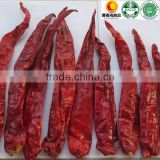 2015 New crop Manufacturer supplier strictly quality control HACCP HALAL Dried red erjintiao Chile de Arbol for Mexico market