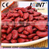 High Quality Organic Round / Long Shape Dark Red Kidney Beans thumbnail-6