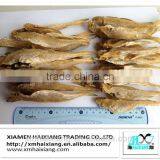 Cod Fish thumbnail-4