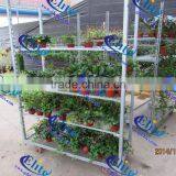 605 Pool Rack Chassis thumbnail-5