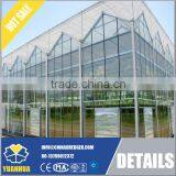 Venlo Type Glass Greenhouse for Vegetable and Flowers Growing thumbnail-5