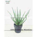 SAS201607 Artificial Green Plant for Indoor Decoration thumbnail-6