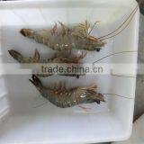 Frozen Shrimp Stuffing thumbnail-1