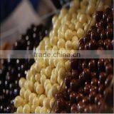 User-friendly Easy to Operate Automatic Small Chocolate Enrobing Machine thumbnail-3