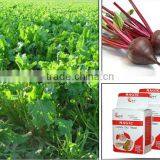 Baker Yeast Fermentation Yeast Bread Magic High Sugar thumbnail-1