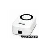 Network Adapter thumbnail-1