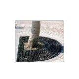 Tree Cover thumbnail-1