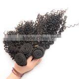 Unprocessed Virign Indian Human Hair Weaves Curly Wholesale Kinky Curly Indian Hair Extensions thumbnail-2
