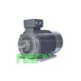 YB2 Type Electric Motor