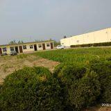 Heze Wit Food Co.,ltd company overview - view 4 thumbnail