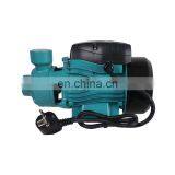 QB60 Philippines Small Turbine High Performance QB65 Clean Water Pump thumbnail-4