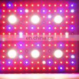 New Product 3000W Grow Light Plant Lights for Indoor Plants LED Lamp Full Spectrum thumbnail-5