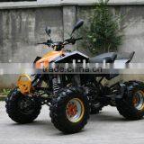 EGL EEC ATVs 250cc (203E-9 Economic) thumbnail-1