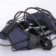 Protective Mask