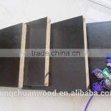 Film Faced Plywood ,plywood,black Film Faced Plywood,black Blue Film thumbnail-1