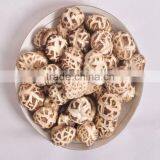 Hot Sun-Dried Organic Shiitake Mushroom thumbnail-4