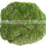 Artificial Moss Carpet, Moss Carpet, Artificial Moss Decoration, High Quality