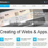 Custom Web Design