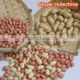 Chinese Peanut in Shell 9/1111/13 2/4