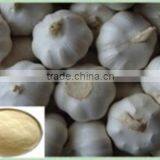100% Natural Garlic Extract Pure Natural Plant Extracts thumbnail-1