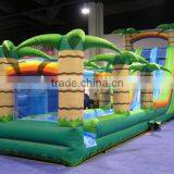 2015 Commercial Grade Inflatable Tropical Water Slide For Adult thumbnail-6